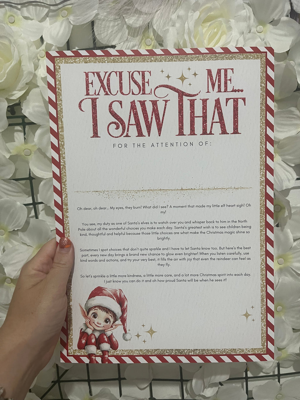 Elf on the shelf set