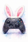 Controller  Easter sack