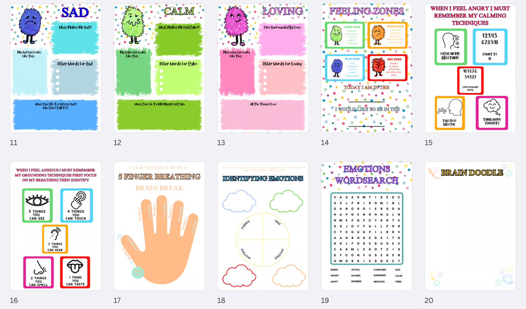 Self regulation & emotional book