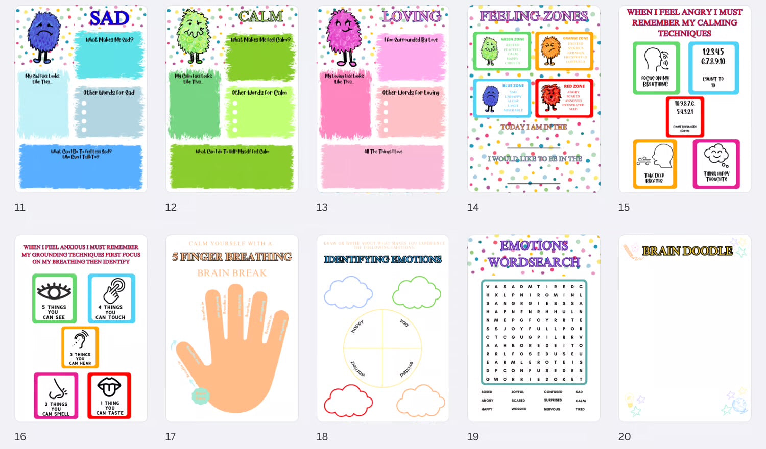 Self regulation & emotional book