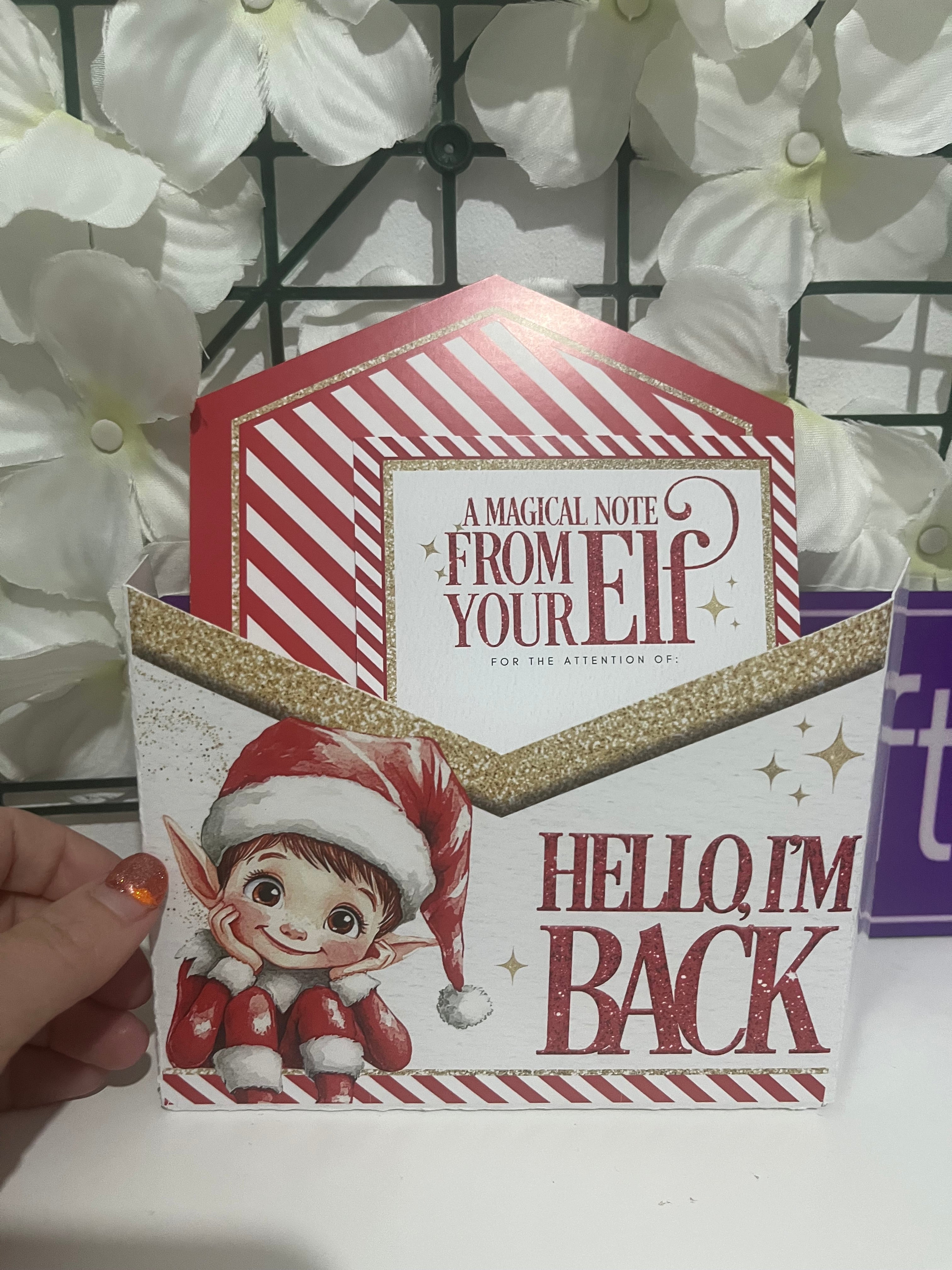 Elf on the shelf set